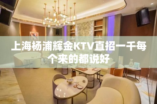 上海杨浦辉金KTV直招一千每个来的都说好