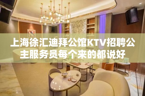 上海徐汇迪拜公馆KTV招聘公主服务员每个来的都说好