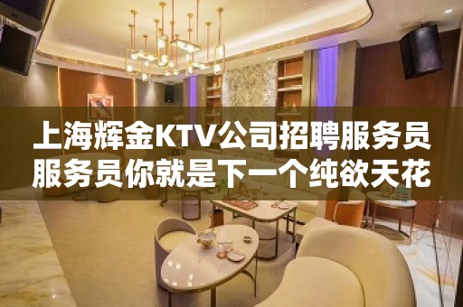 上海辉金KTV公司招聘服务员服务员你就是下一个纯欲天花板