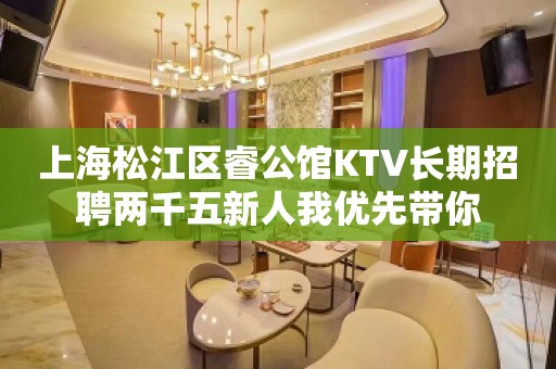 上海松江区睿公馆KTV长期招聘两千五新人我优先带你