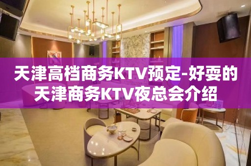 天津高档商务KTV预定-好耍的天津商务KTV夜总会介绍