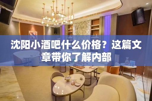 沈阳小酒吧什么价格？这篇文章带你了解内部