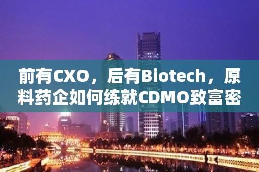 前有CXO，后有Biotech，原料药企如何练就CDMO致富密码？