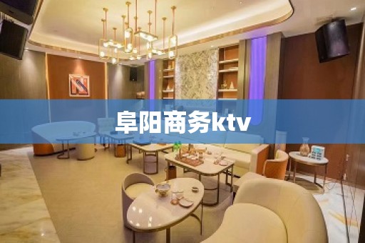 阜阳商务ktv