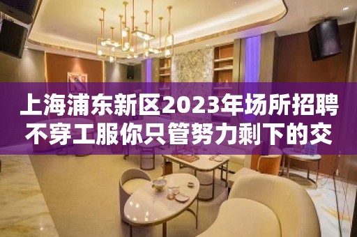 上海浦东新区2023年场所招聘不穿工服你只管努力剩下的交给我