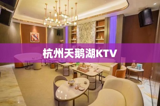 杭州天鹅湖KTV