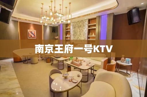 南京王府一号KTV