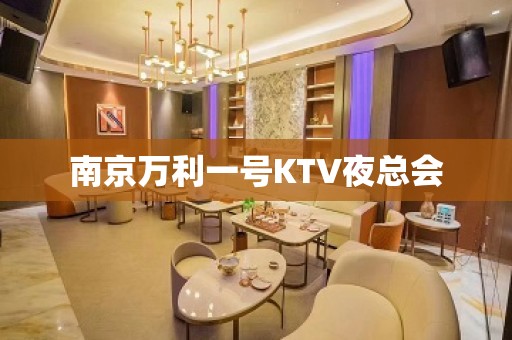 南京万利一号KTV夜总会