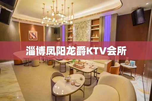 淄博凤阳龙爵KTV会所