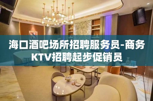 海口酒吧场所招聘服务员-商务KTV招聘起步促销员