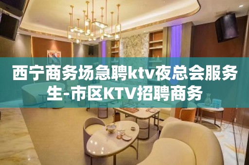 西宁商务场急聘ktv夜总会服务生-市区KTV招聘商务