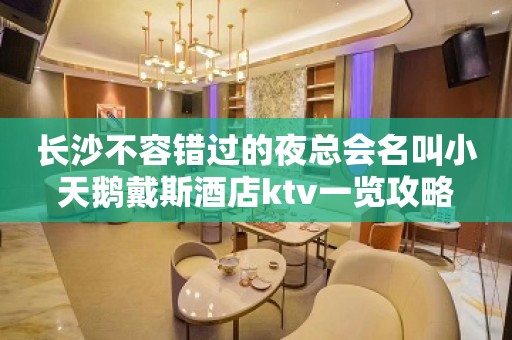 长沙不容错过的夜总会名叫小天鹅戴斯酒店ktv一览攻略