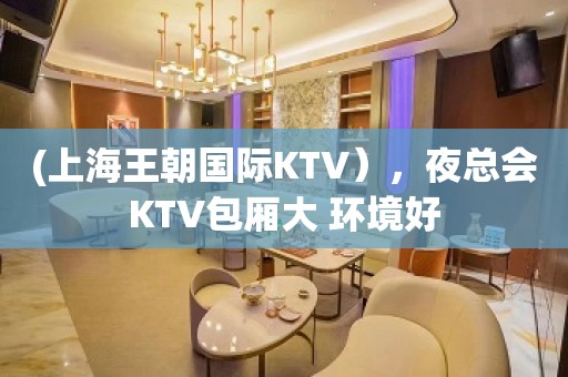 (上海王朝国际KTV），夜总会KTV包厢大 环境好