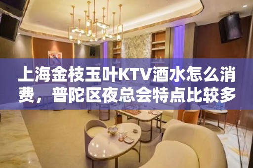 上海金枝玉叶KTV酒水怎么消费，普陀区夜总会特点比较多