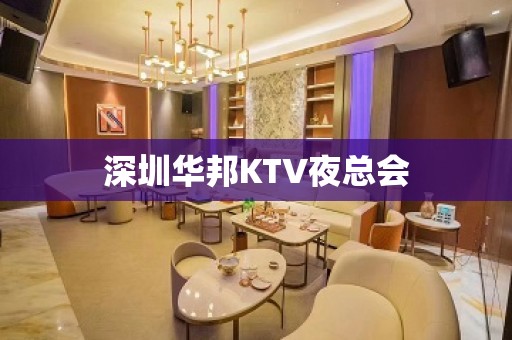 深圳华邦KTV夜总会