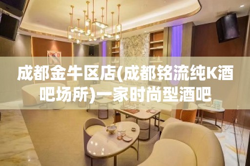 成都金牛区店(成都铭流纯K酒吧场所)一家时尚型酒吧