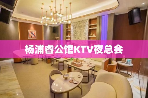 杨浦睿公馆KTV夜总会