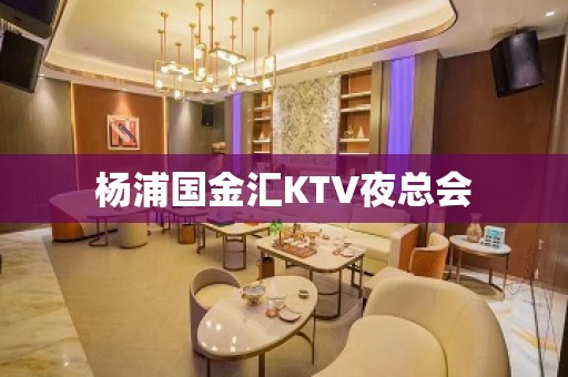 杨浦国金汇KTV夜总会