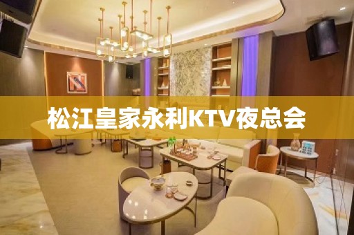 松江皇家永利KTV夜总会