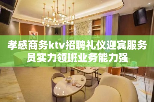 孝感商务ktv招聘礼仪迎宾服务员实力领班业务能力强