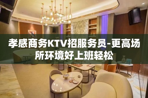 孝感商务KTV招服务员-更高场所环境好上班轻松