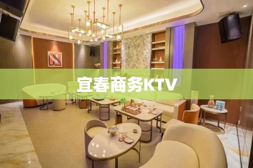 宜春商务KTV