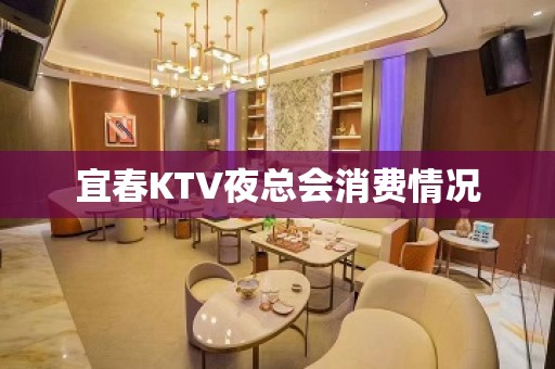 宜春KTV夜总会消费情况