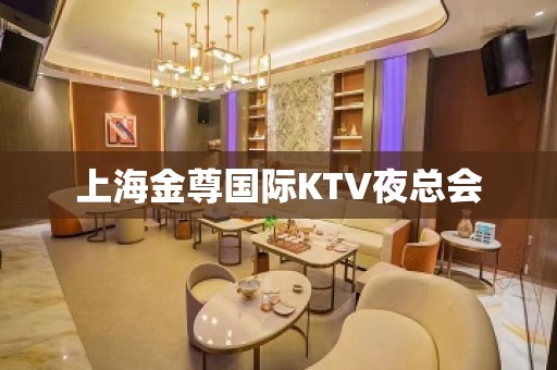 上海金尊国际KTV夜总会