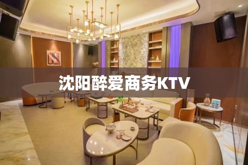 沈阳醉爱商务KTV