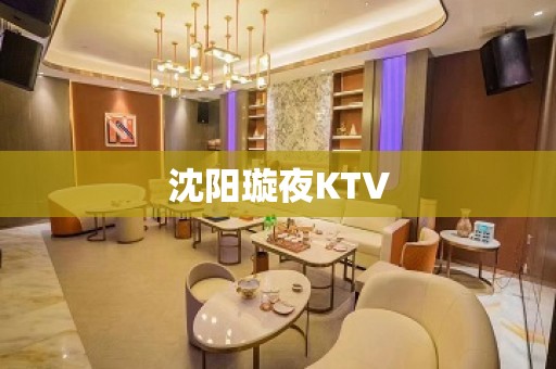 沈阳璇夜KTV