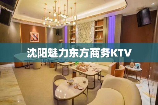 沈阳魅力东方商务KTV