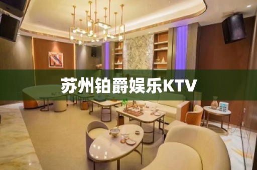 苏州铂爵娱乐KTV