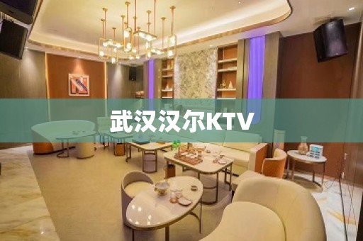 武汉汉尔KTV