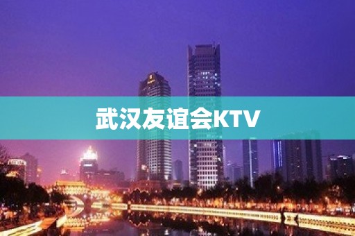 武汉友谊会KTV