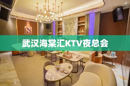 武汉海棠汇KTV夜总会