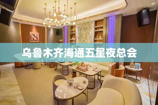 乌鲁木齐海通五星夜总会