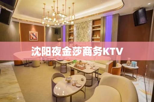 沈阳夜金莎商务KTV