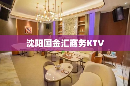 沈阳国金汇商务KTV