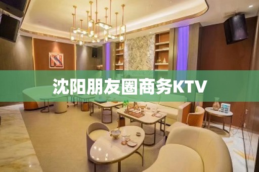 沈阳朋友圈商务KTV