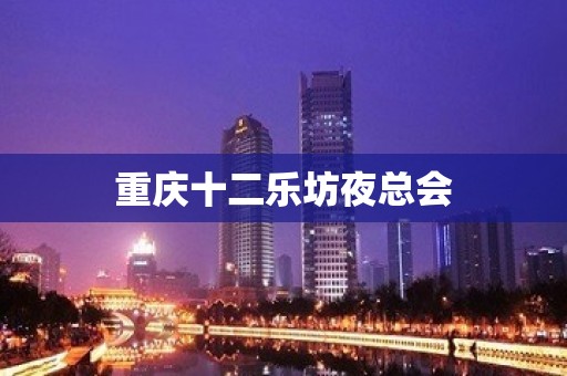 重庆十二乐坊夜总会