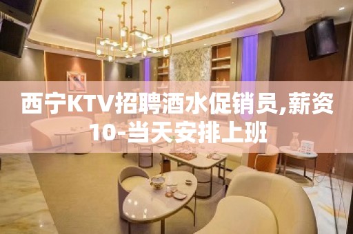 西宁KTV招聘酒水促销员,薪资10-当天安排上班