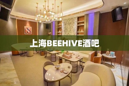 上海BEEHIVE酒吧