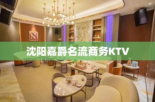 沈阳嘉爵名流商务KTV