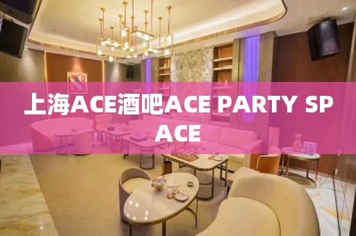 上海ACE酒吧ACE PARTY SPACE