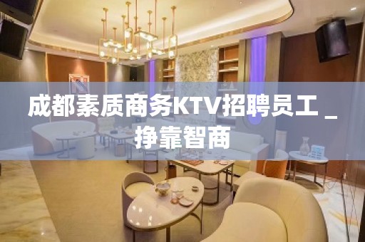 成都素质商务KTV招聘员工＿挣靠智商