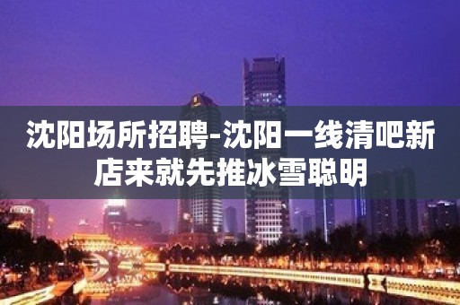 沈阳场所招聘-沈阳一线清吧新店来就先推冰雪聪明