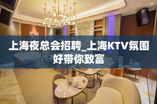 上海夜总会招聘_上海KTV氛围好带你致富