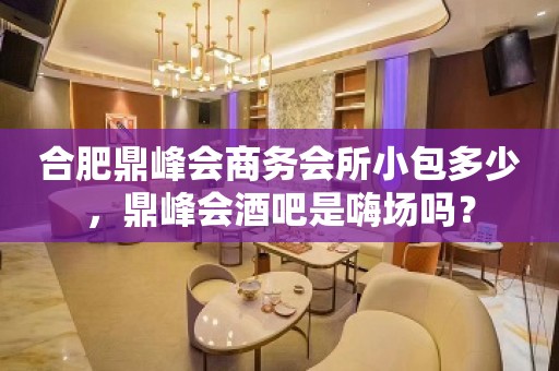 合肥鼎峰会商务会所小包多少，鼎峰会酒吧是嗨场吗？