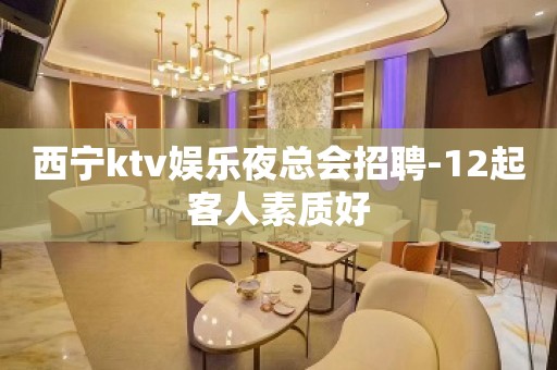 西宁ktv娱乐夜总会招聘-12起客人素质好