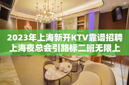 2023年上海新开KTV靠谱招聘上海夜总会引路标二班无限上